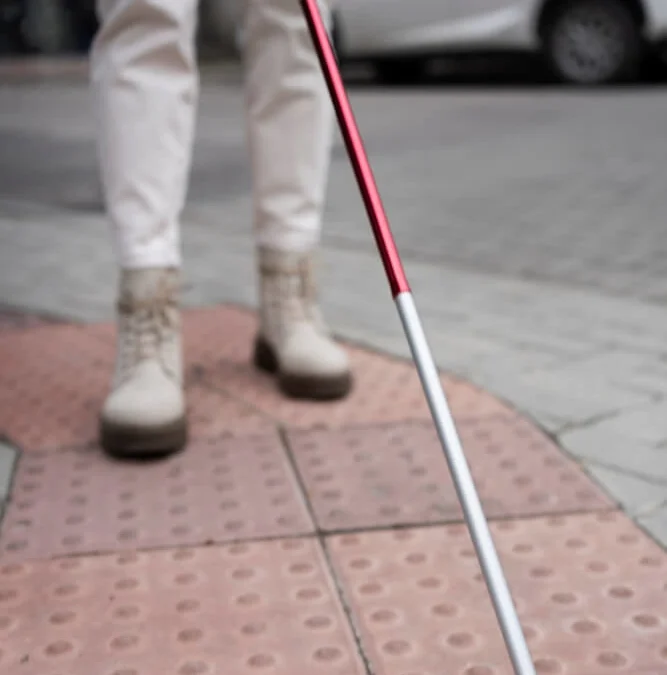Faktor Tingginya Jumlah Penyandang Disabilitas di Indonesia