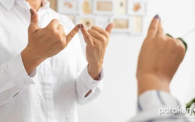 Kursus Bahasa Isyarat SIBI, Bahasa Isyarat Resmi di Indonesia