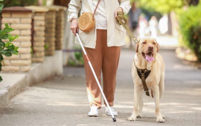 Bisakah Penyandang Disabilitas Penglihatan Pulih Kembali?